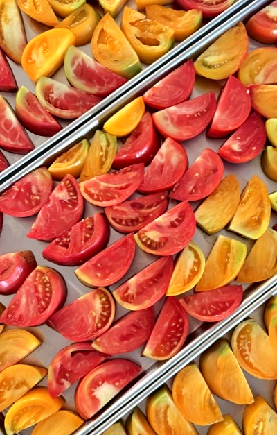 Tomatoes